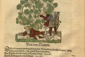 Bijbelse planten, dieren