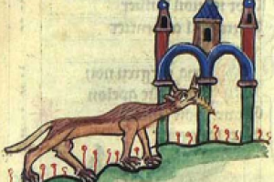Hyaena steen